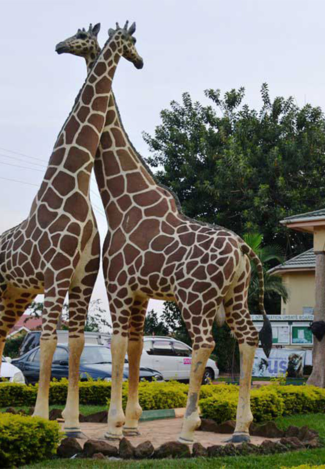 Entebbe UWEC wildlife