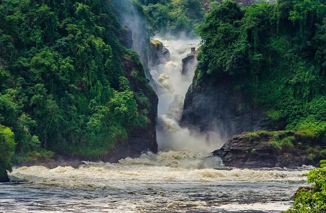 Murchison Falls Safari