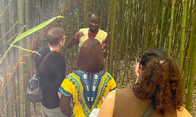 Uganda Safari Adventure